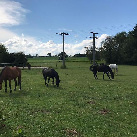 Pferdehof Dietzsch, Tittmoning Zewnętrze zdjęcie