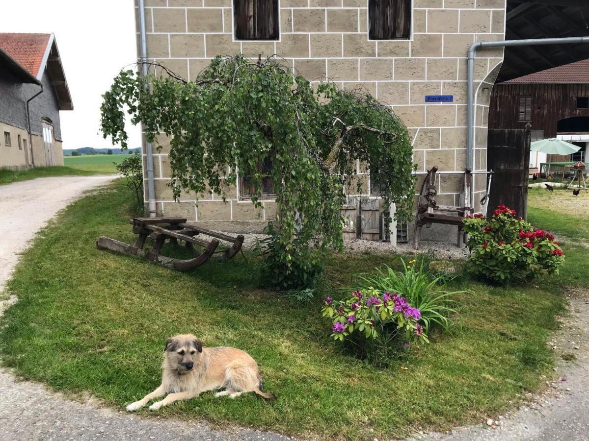 Pferdehof Dietzsch, Tittmoning Zewnętrze zdjęcie